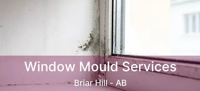  Window Mould Services Briar Hill - AB