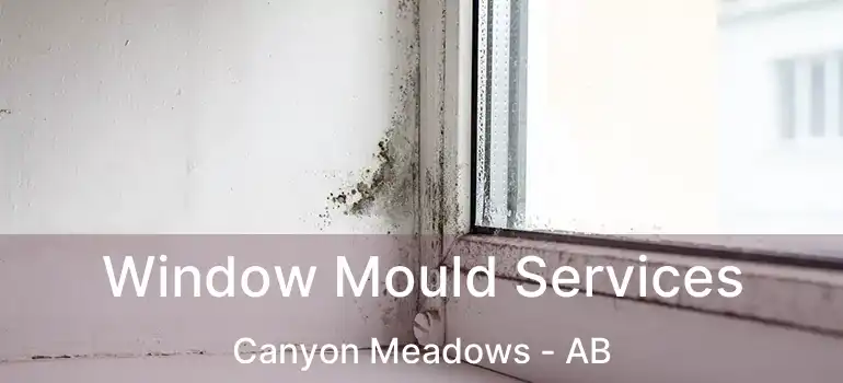  Window Mould Services Canyon Meadows - AB