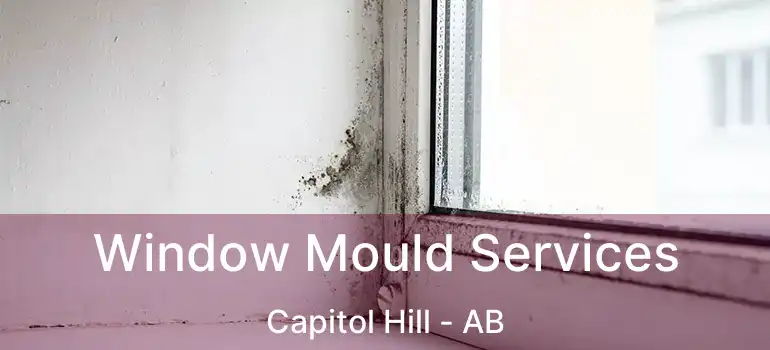  Window Mould Services Capitol Hill - AB