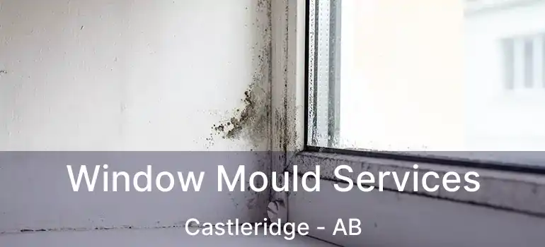  Window Mould Services Castleridge - AB