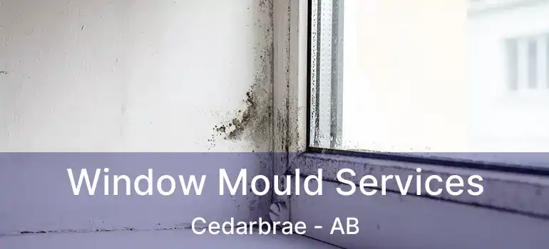 Window Mould Services Cedarbrae - AB