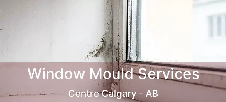  Window Mould Services Centre Calgary - AB