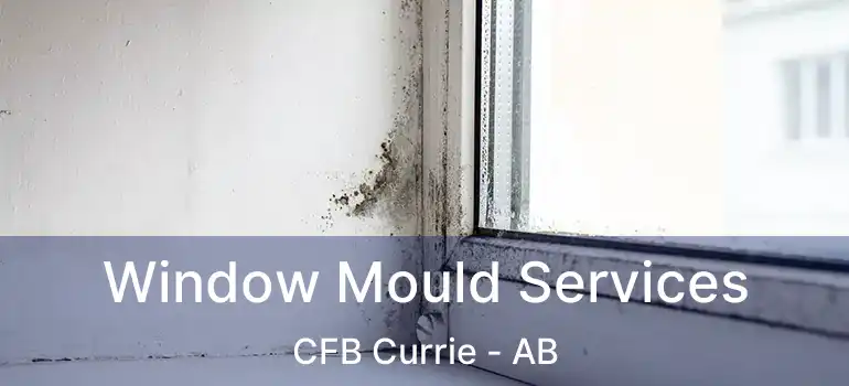  Window Mould Services CFB Currie - AB