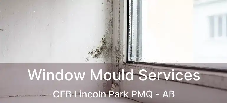  Window Mould Services CFB Lincoln Park PMQ - AB
