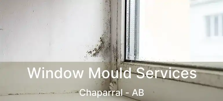  Window Mould Services Chaparral - AB