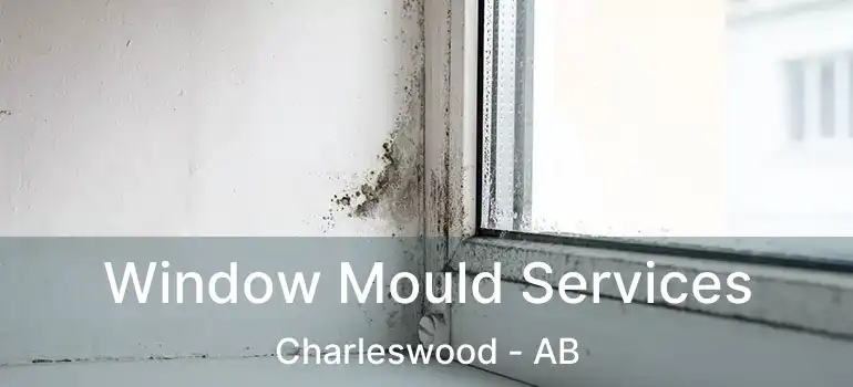  Window Mould Services Charleswood - AB