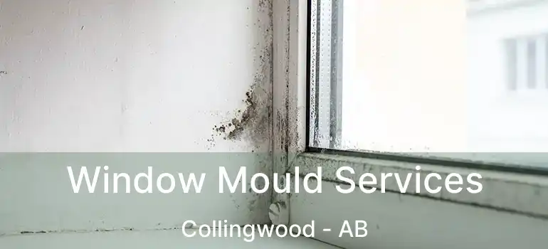  Window Mould Services Collingwood - AB