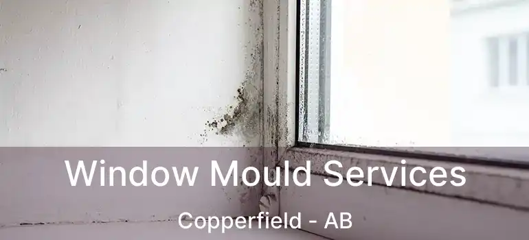  Window Mould Services Copperfield - AB