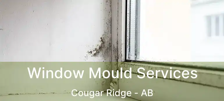  Window Mould Services Cougar Ridge - AB