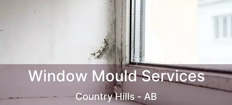  Window Mould Services Country Hills - AB