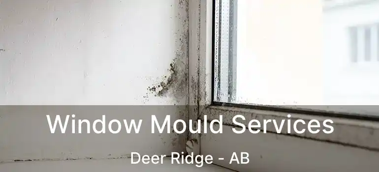  Window Mould Services Deer Ridge - AB