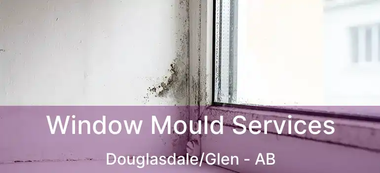 Window Mould Services Douglasdale/Glen - AB