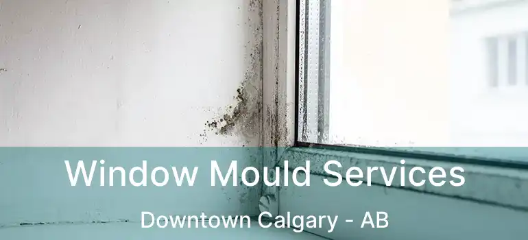  Window Mould Services Downtown Calgary - AB
