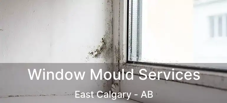  Window Mould Services East Calgary - AB