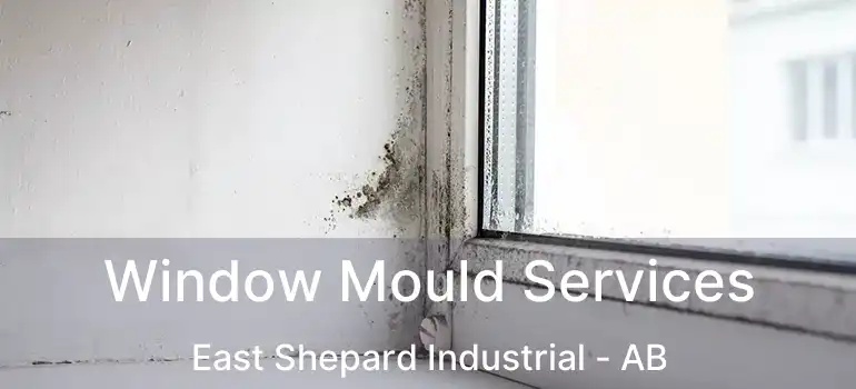  Window Mould Services East Shepard Industrial - AB
