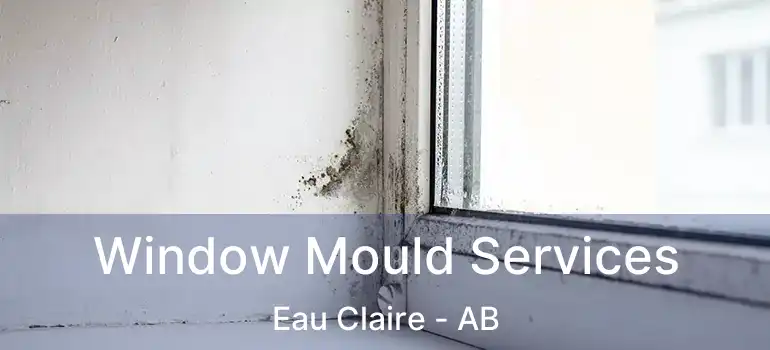  Window Mould Services Eau Claire - AB