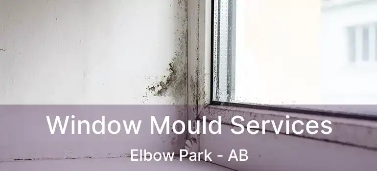  Window Mould Services Elbow Park - AB