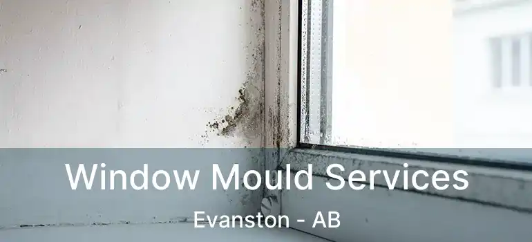  Window Mould Services Evanston - AB