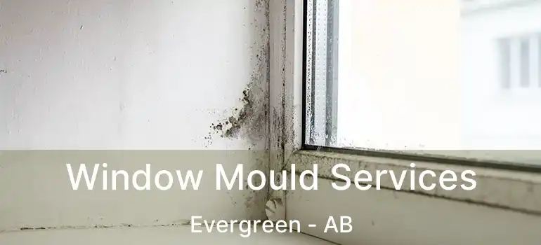  Window Mould Services Evergreen - AB