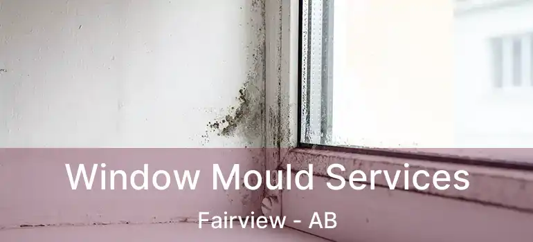  Window Mould Services Fairview - AB