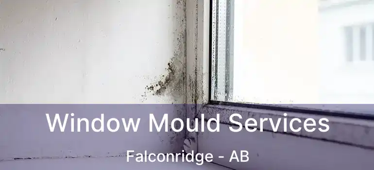  Window Mould Services Falconridge - AB