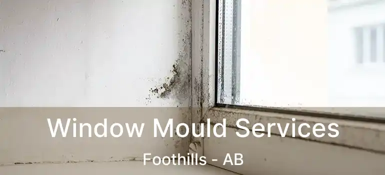  Window Mould Services Foothills - AB