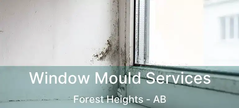  Window Mould Services Forest Heights - AB