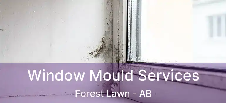  Window Mould Services Forest Lawn - AB