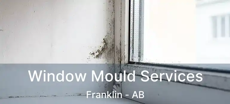  Window Mould Services Franklin - AB