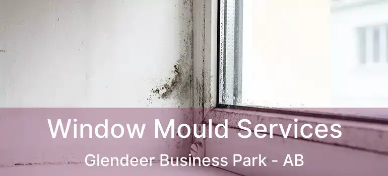  Window Mould Services Glendeer Business Park - AB