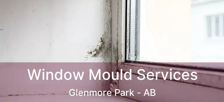  Window Mould Services Glenmore Park - AB
