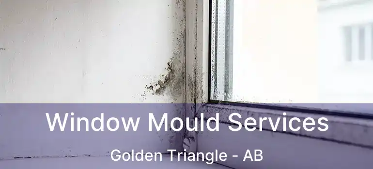  Window Mould Services Golden Triangle - AB