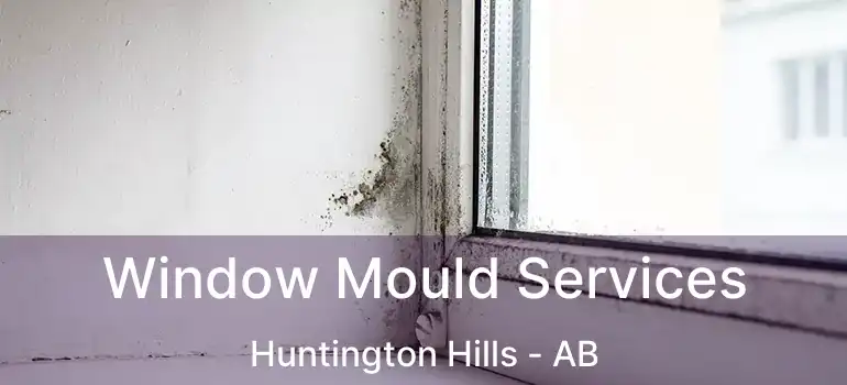  Window Mould Services Huntington Hills - AB