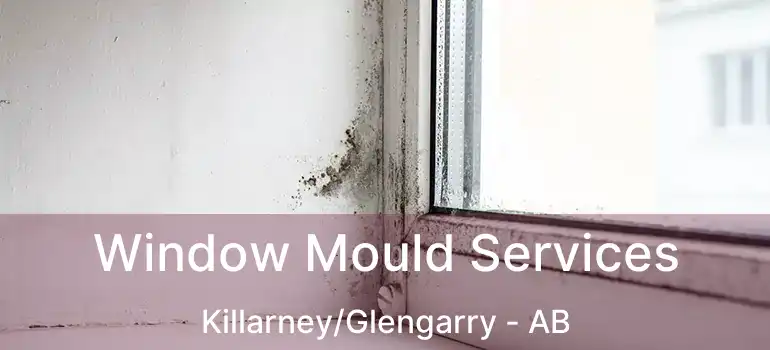  Window Mould Services Killarney/Glengarry - AB