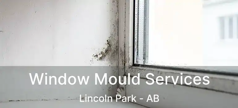  Window Mould Services Lincoln Park - AB