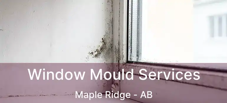  Window Mould Services Maple Ridge - AB