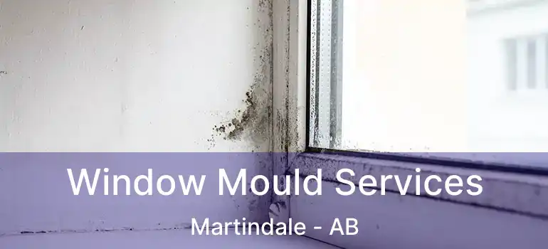  Window Mould Services Martindale - AB
