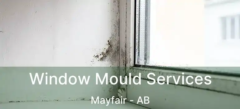  Window Mould Services Mayfair - AB