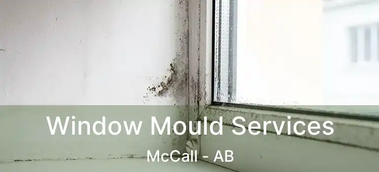  Window Mould Services McCall - AB