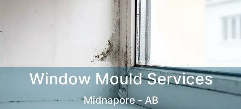  Window Mould Services Midnapore - AB