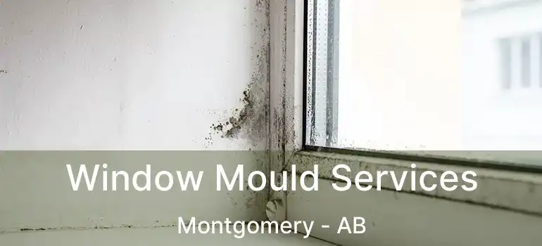  Window Mould Services Montgomery - AB