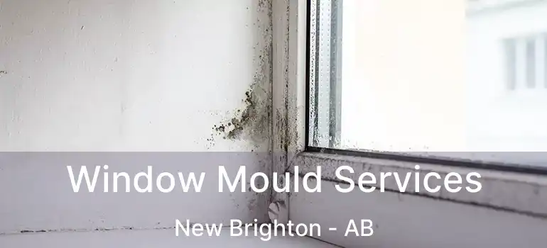  Window Mould Services New Brighton - AB