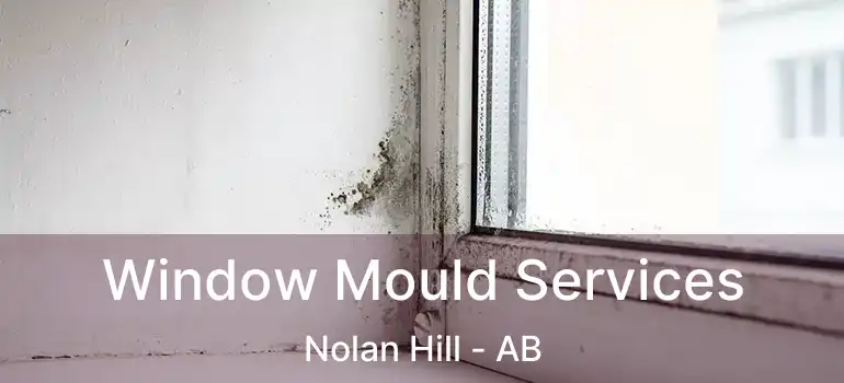 Window Mould Services Nolan Hill - AB