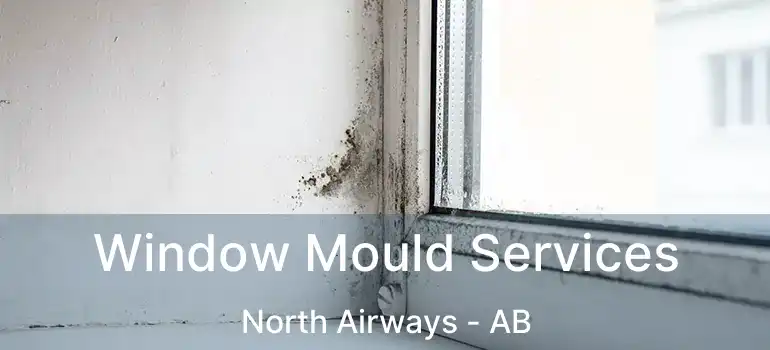  Window Mould Services North Airways - AB