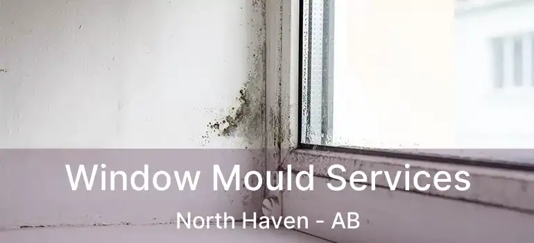  Window Mould Services North Haven - AB