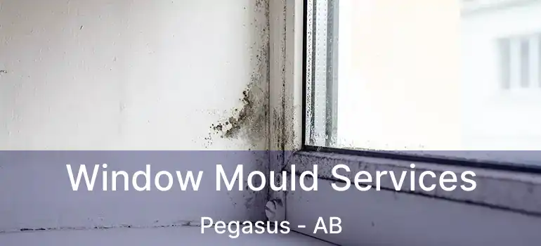  Window Mould Services Pegasus - AB