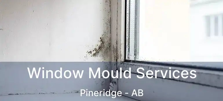  Window Mould Services Pineridge - AB