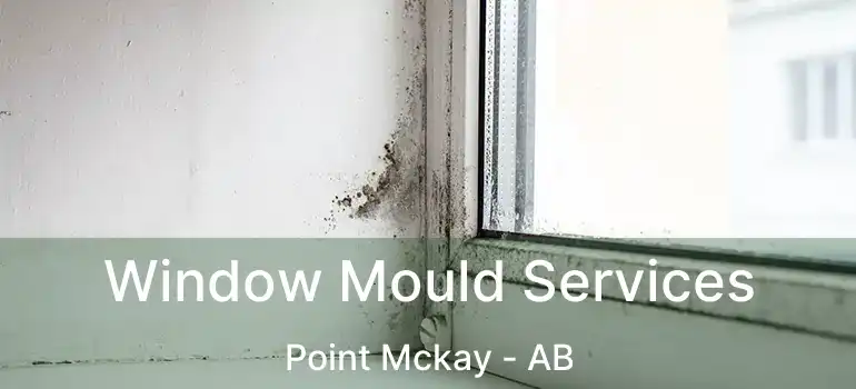  Window Mould Services Point Mckay - AB