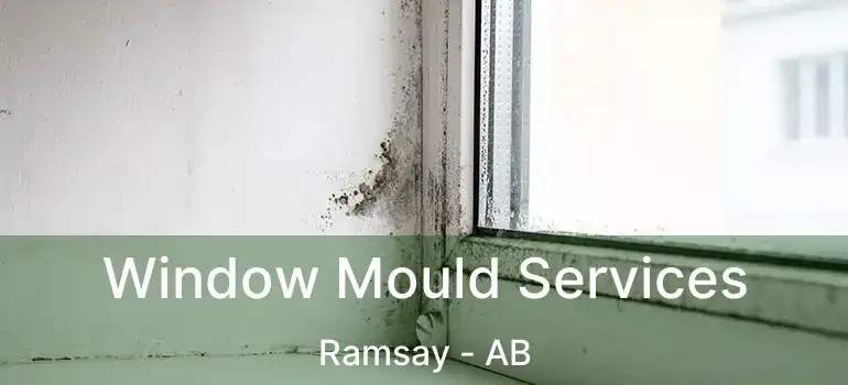  Window Mould Services Ramsay - AB