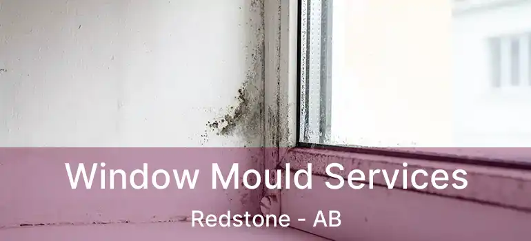  Window Mould Services Redstone - AB